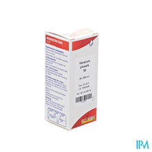 Charger l'image dans la galerie, Hieracium Pilosella Tm 60ml Boiron