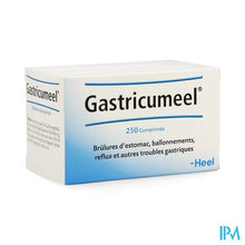 Load image into Gallery viewer, Gastricumeel Comp 250