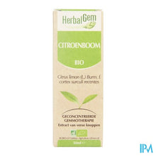 Charger l'image dans la galerie, Herbalgem Citroenboom Maceraat 50ml