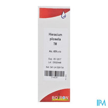 Charger l'image dans la galerie, Hieracium Pilosella Tm 60ml Boiron