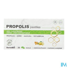 Afbeelding in Gallery-weergave laden, Soria Propolis Past 20