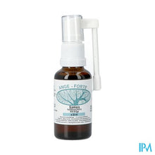 Afbeelding in Gallery-weergave laden, Angi-forte Spray 30ml