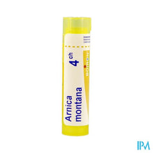 Afbeelding in Gallery-weergave laden, Arnica Montana 4ch Gr 4g Boiron