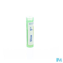 Afbeelding in Gallery-weergave laden, Silicea 5ch Gr 4g Boiron
