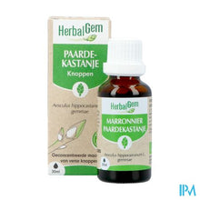 Afbeelding in Gallery-weergave laden, Herbalgem Wilde Kastanje Bio 30ml