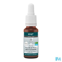 Afbeelding in Gallery-weergave laden, Bachbloesem Bio N°47 Druppels Slaap 20ml
