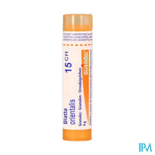 Afbeelding in Gallery-weergave laden, Blatta Orientalis 15ch Gr 4g Boiron