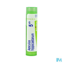 Afbeelding in Gallery-weergave laden, Aesculus Hippocastanum 5ch Gr 4g Boiron