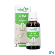 Afbeelding in Gallery-weergave laden, Herbalgem Els Bio 30ml