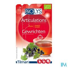 Afbeelding in Gallery-weergave laden, Biolys Aalbes Sach 24
