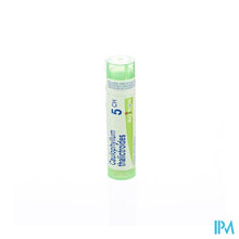 Afbeelding in Gallery-weergave laden, Caulophyllum Thalictroides 5ch Gr 4g Boiron