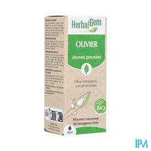 Afbeelding in Gallery-weergave laden, Herbalgem Olijfboom Bio 30ml
