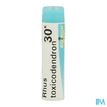 Charger l'image dans la galerie, Rhus Toxicodendron 30k Gr 4g Boiron