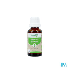Afbeelding in Gallery-weergave laden, Herbalgem Amandel Bio 30ml