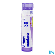 Afbeelding in Gallery-weergave laden, Arnica Montana 30ch Gr 4g Boiron