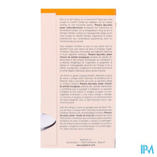 Afbeelding in Gallery-weergave laden, Physalis Ayurvedic Power Infusie Bio Builtjes 20