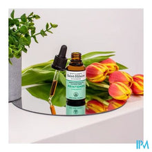 Afbeelding in Gallery-weergave laden, Complex N1 Printemps 30ml