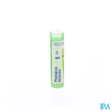 Afbeelding in Gallery-weergave laden, Phytolacca Decandra 5ch Gr 4g Boiron
