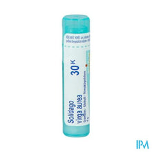 Afbeelding in Gallery-weergave laden, Solidago Virgaurea 30k Gr 4g Boiron