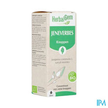 Afbeelding in Gallery-weergave laden, Herbalgem Jeneverbes Bio 30ml