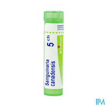 Afbeelding in Gallery-weergave laden, Sanguinaria Canadensis 5ch Gr 4g Boiron