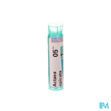 Afbeelding in Gallery-weergave laden, Actaea Spicata 5ch Gr 4g Boiron