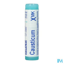 Afbeelding in Gallery-weergave laden, Causticum Hahnemanni Xmk Gl Boiron