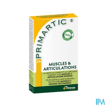 Afbeelding in Gallery-weergave laden, Primartic Caps 24