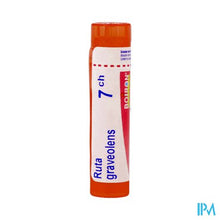 Afbeelding in Gallery-weergave laden, Ruta Graveolens 7ch Gr 4g Boiron