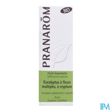 Afbeelding in Gallery-weergave laden, Pranarom Eo Eucalyptus Cryptone Bio 10ml