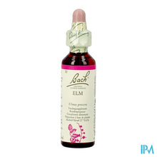 Afbeelding in Gallery-weergave laden, Bach Flower Remedie 11 Elm 20ml