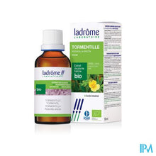 Afbeelding in Gallery-weergave laden, Ladrome Potentilla Erecta/tormentil 50ml