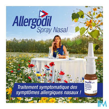 Charger l'image dans le visualiseur de la galerie, Allergodil Spray Nasal Fl 10ml