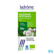 Afbeelding in Gallery-weergave laden, Ladrome Valeriana Officinalis/echte Valeriaan 50ml