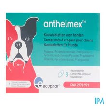 Afbeelding in Gallery-weergave laden, Anthelmex Kauwtabl. Hond 8