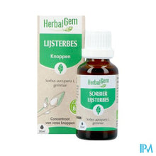 Afbeelding in Gallery-weergave laden, Herbalgem Lijsterbes Bio 30ml