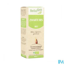 Load image into Gallery viewer, Herbalgem Zwarte Bes Maceraat 50ml