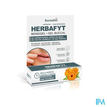 Load image into Gallery viewer, Soria Dermosor Herbafyt Mondgel Spray 5g