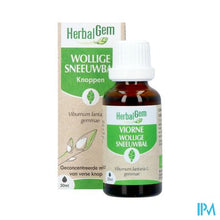 Afbeelding in Gallery-weergave laden, Herbalgem Sneeuwbal Bio 30ml