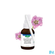 Afbeelding in Gallery-weergave laden, A.vogel Spray Kriebel In De Keel 30ml