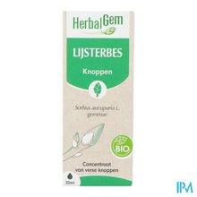 Afbeelding in Gallery-weergave laden, Herbalgem Lijsterbes Bio 30ml