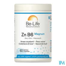 Afbeelding in Gallery-weergave laden, Zn B6 Magnum Minerals Be Life Gel 60