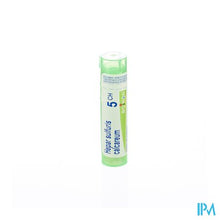 Afbeelding in Gallery-weergave laden, Hepar Sulfuris Calcareum 5ch Gr 4g Boiron