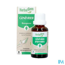 Load image into Gallery viewer, Herbalgem Jeneverbes Bio 30ml