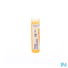 Afbeelding in Gallery-weergave laden, Thuya Occidentalis 15ch Gr 4g Boiron
