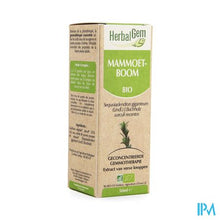 Load image into Gallery viewer, Herbalgem Sequoia Maceraat 50ml