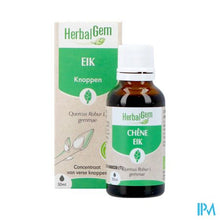 Afbeelding in Gallery-weergave laden, Herbalgem Eik Bio 30ml