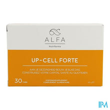 Afbeelding in Gallery-weergave laden, ALFA Up-cell Forte Comp 30