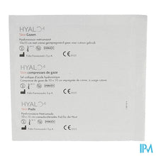 Load image into Gallery viewer, Hyalo 4 Skin Gazen 10x10cm 10