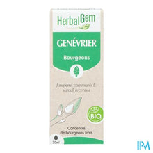 Load image into Gallery viewer, Herbalgem Jeneverbes Bio 30ml